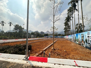 có 550tr sở hữu ngay mảnh đất tiềm năng sinh lời cực lớn tại lạc thuỷ - hoà bình.