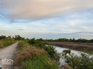 bán đất tam thôn hiệp, cần giờ | 2.766,4m2 | đường bê tông 3,5m | đất nở hậu