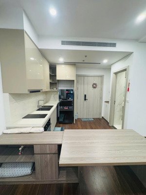 masteri căn 1n+1 full đồ - 10,5 triệu miễn phí dv 