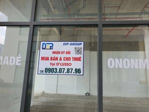 chính chủ cần cho thuê gấp căn góc duokey d''lusso 3pn ( 17,5 tr/ tháng )