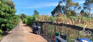 lô đất khu làng chùa đại ninh- phú hội- đức trọng- lâm đồng+ 275m- giá 1 tỷ 750- ac mua đầu tư được