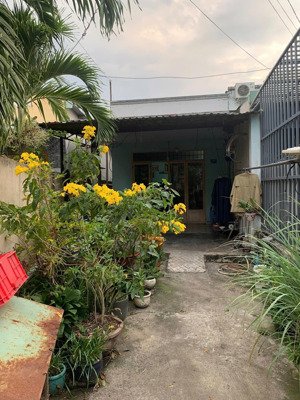 bán đất tặng nhà cấp 4 nở hậu gần chợ bờ hồ trung tâm dĩ an