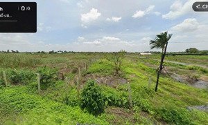 500m2 đất trồng cây xã bình mỹ chỉ 1.35 tỷ