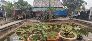 500m2 nhà vườn đẹp, đường xe hơi xã bình mỹ chỉ 2.5 tỷ