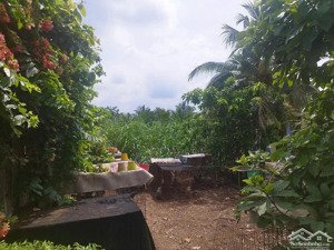 đất gần chợ ấp 7 - bình mỹ giá tốt 2 tỷ tl