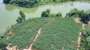 mảnh đất nghỉ dưỡng view hồ đầm sản cực thoáng đẹp-gần trục chính liên thôn-cách tl414 chỉ hơn 1km