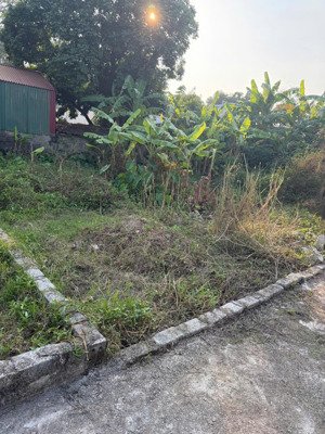 chính chủ bán đất tân ước, dân hoà, thanh oai - sát ngay vinhomes olympic - tiềm năng tăng giá cao