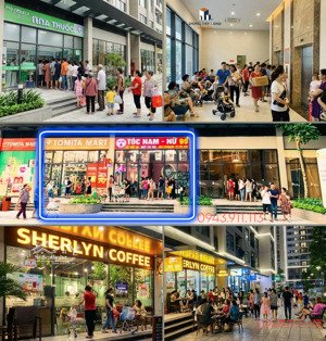 sinh lời kép từ 1tr1-1tr5/m2 khi mua shophouse khối đế tại kđt vin tây mỗ 55-127m2- chỉ từ 3 tỷ