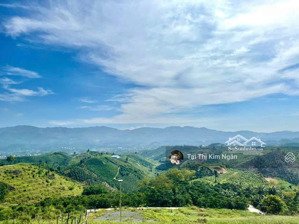 đất bảo lộc - view săn mây đồi bát úp đại lào dt: 1384m2 (25mx45m) đường oto vào tận nơi