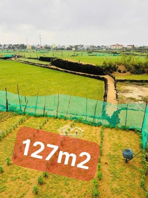 đất vườn cạnh dân cư và trường học 127m2 qh đất ở giá 79tr/lô rẻ nhất đảo. sổ sẵn công chứng ngay