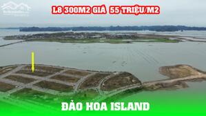 Bán nhanh ô đất biệt thự hướng Nam Đảo Hoa dãy L8 300m2 gần biển, giá 55 triệu/m2