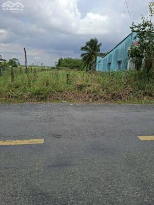 Cần bán lô đất 451.8m² mặt tiền đường nhựa HL 02 Kiểng Phước, Gò Công Đông gần KCN Gia Thuận 1-2