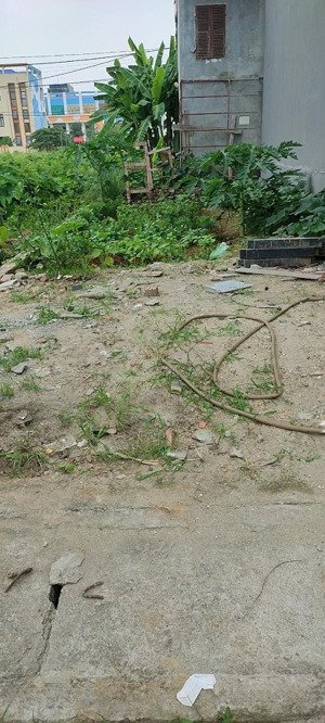 giá đầu tư, đất tây tựu, 92m2, mặt tiền 6m, xây ccmn, ô tô cách 10m, giá ~ 100 triệu/1m2, qh ngon