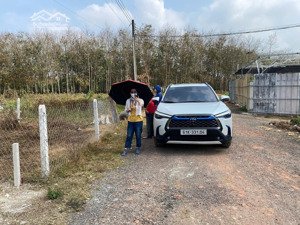 bán đất an bình 34 phú giáo, bình dương vị trí đẹp dân cư hiện hữu giao thông thuận tiện