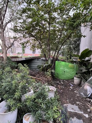 đất full thổ - lô góc - lê văn khương, q12, 233m2 - nhỉnh 7 tỷ