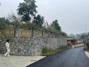 gia đình em cần tiền cắt bán 320m2 khu làng hà nội, mặt đường nhựa 14m vuông vắn siêu đẹp, giá rẻ