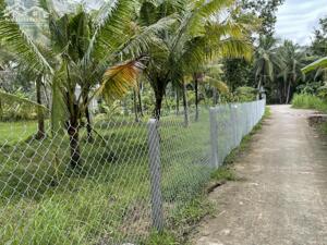 CẦN BÁN 1.5 CÔNG ĐẤT 2 MẶT TIỀN LỘ – GẦN QL60 & CHỢ THOM, AN THẠNH, MỎ CÀY NAM