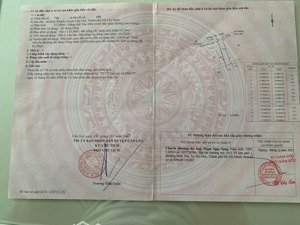 bán đất thổ cư 217m2 tại rừng sác, bình khánh, cần giờ, hcm, 3,5 tỷ