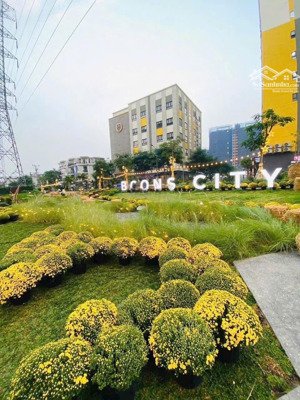 cho thuê shophouse tháp sapphire - bcons city