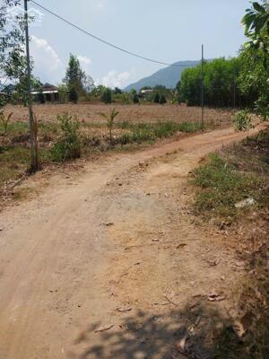 Cần bán lô đất cây lâu năm 1.227m² Xuân Đông, Diên Xuân, Diên Khánh, Khánh Hòa