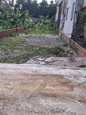 a257. bán đất phú cát 159m2 gần nhà máy in tiền kết nối đhqg & đại lộ thăng long chỉ 5 phút