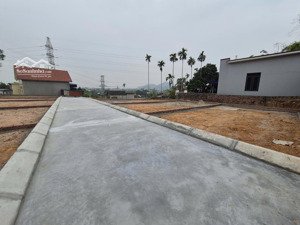 bán đất thổ cư giá tốt tại quảng thanh thủy nguyên