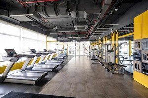 cho thuê cc tại sunrise city view, 10 triệu, 40 m2, 1pn + 1wc, giá tốt