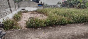 quỹ đất siêu hiếm an mỹ, hồng sơn, giá siêu hời, vị trí đắc địa