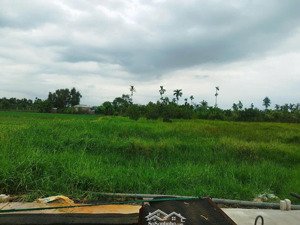 đất full thổ xây dựng được ngay xã bình mỹ chỉ 1.65 tỷ