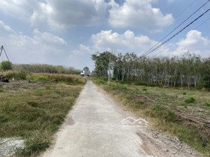 bán đất thổ cư ngay khu đô thị phúc hưng. giá chỉ 3xx triệu. dt: 5*45m/50m2 tc