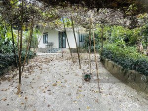 933m2 full thổ cư - mt19m - view cánh đồng - sẵn nhà vườn nghỉ dưỡng - giá rẻ