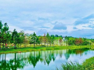 cần tiền bấn gấp miếng đất phường 2 bảo lộc trong ngày diện tích 616m2