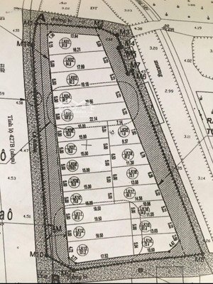 chính chủ bán đất đấu giá ao đầu vôi - bình minh - tam hưng - thanh oai - hn. trục chính tl 427b