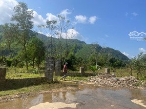 siêu phẩm đất sinh thái nam yên, hòa bắc, giá siêu tốt chỉ 1,5 tỷ. lh ngay 