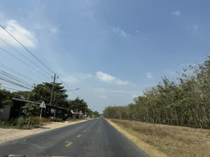 cần bán 2,8ha quy hoạch skc mặt tiền dt748 long nguyên