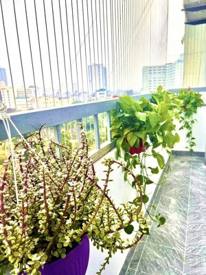 gần huỳnh thúc kháng có 1 căn chung cư siêu đẹp chùa láng | 70m | đống đa |căn góc 2pn 2