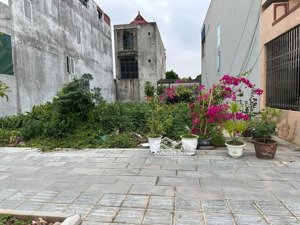 siêu phẩm mặt đường thanh niên trung tâm quận đồ sơn, hp