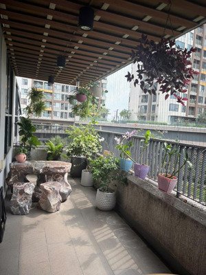 chính chủ bán căn hộ sân vườn siêu rộng có 3 phòng ngủ