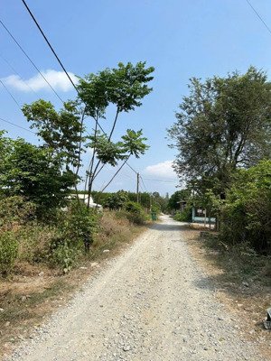 hạ giá bán rẻ đất thổ nhà vườn nhơn trạch, giá rẻ 2,7tỷ/405m2 oto 5m shr chính chủ. gọi ngay 24/24h