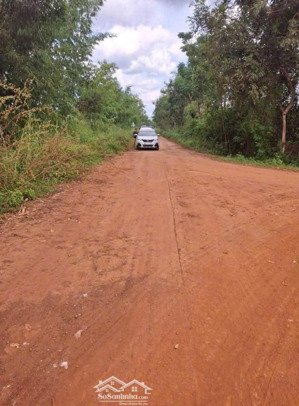 bán đất tại xã thanh lương, bình long, bình phước, 700 triệu, 1000m2