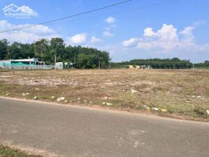 3 LÔ MẶT TIỀN NHỰA 42M, 15X50=750M2 THỔ CƯ SHR, KINH DOANH BUÔN BÁN ĐA NGÀNH GIÁ 105TR/MN