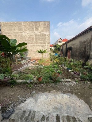 bán đất tại xã ninh sở, thường tín, hà nội, 4,1 tỷ, 60,1m2 giá cực chất hot!