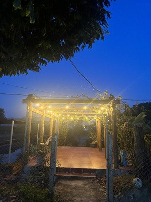 bán đất làm farm có 100% thổ cư