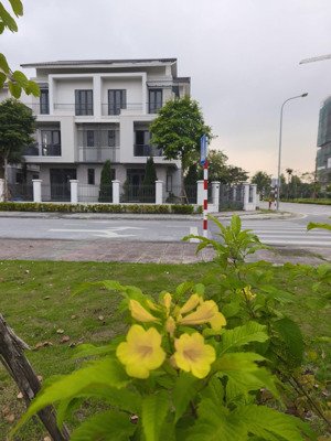 biệt thự giá chỉ bằng nửa căn chung cư hà nội