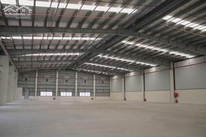 CHO THUÊ KHO XƯỞNG BẾN LỨC, LONG AN 2500M2 GIÁ 110TR- PCCC ĐẦY ĐỦ- ĐIỆN 560KVA