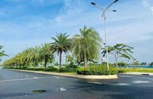 cuối năm tiền nhàn rỗi cần nơi trú ẩn an toàn, bất động sản khu vực long thành là lựa chọn ưu tiên