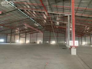 https://khoxuongmiennam.com.vn/CHO THUÊ KHO 5.544m2 BÌNH TÂN. HỆ THỐNG PCCC TỰ ĐỘNG