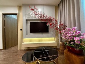 cho thuê căn 2pn full nội thất mới ban công đông nam aqua park bắc giang