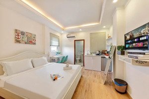 cho thuê studio quận 1 - full nội thất, cửa sổ thoáng