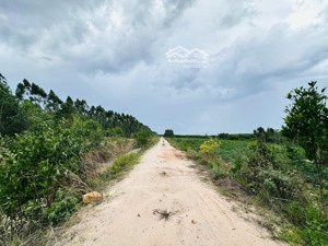 bán 1 sào đất tân bình - lagi chỉ 700 triệu, sổ hồng riêng đường ô tô cách đường 719b khoảng 1km